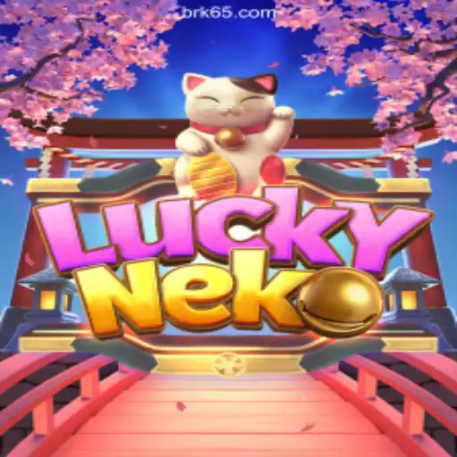 Discover the Enchanting World of LuckyNeko at K65: Brazil's Top Betting Platform
